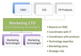 Organization Chart With A Marketing Cto Technology