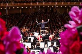 Image result for Manniella gustavi