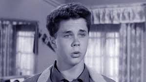 Leave It to Beaver: All Episodes