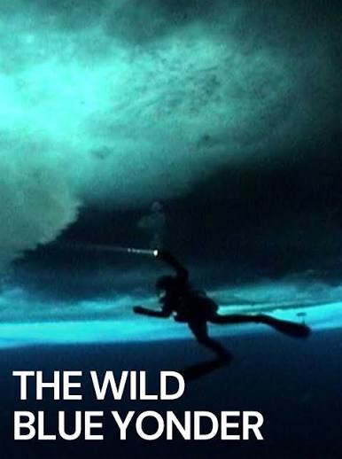 The Wild Blue Yonder (2005) | MUBI