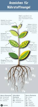 Organischer Universaldunger Von Organischer Universaldunger Von Pflanzen Mit Kindern Pflanzen Garten Pflanzen