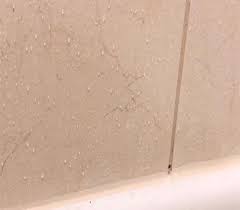 How To Remove Black Mold In Shower Grout Lines The Mold Insider Black Mold In Shower Shower Grout Remove Black Mold