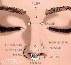 Encyclopedia Of Body Piercings Standard Nostril Nose