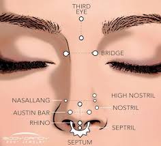 encyclopedia of body piercings standard nostril nose