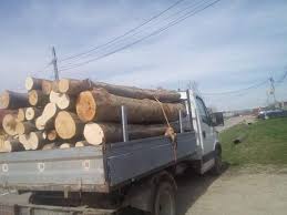 Există, in ţările exotice şi lemne mai uşoare şi chiar mai grele ca apa, dar astea nu există in ţara noastră. Lemne De Foc Gorj Dolj Posts Facebook