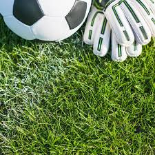 Sport tv 1 (stream 2). Sportzones Hd Proboscislike Carsonline Site