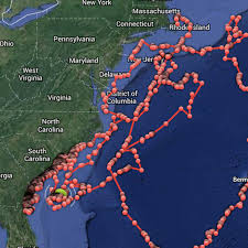 Download global shark tracker apk 1.5.0 for android. You Can Now Track Sharks Off The East Coast In Real Time The Verge
