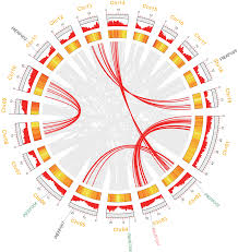 Fast and stable downloads,thanks to our powerful servers. Structure And Expression Analysis Of Seven Salt Related Erf Genes Of Populus Peerj