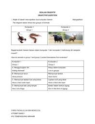 Dalam kumpulan berempat murid murid dikehendaki menyusun kepingan puzzle yang menunjukkan kitaran hidup haiwan mengikut urutan yang betul. Soalan Kbat Tahun 5 Topik Proses Hidup Haiwan Tumbuhan Pages 1 20 Flip Pdf Download Fliphtml5