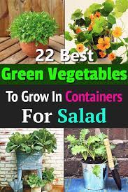 32 Best Green Leafy Vegetables To Grow In Containers Growing Vegetables Salad Garden Home Vegetable Garden