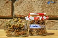 Image result for how to make chamomile vape