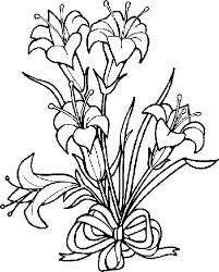 Select from 35919 printable crafts of cartoons, nature, animals, bible and many more. Lily Coloring Pages Best Coloring Pages For Kids