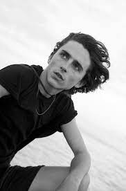 Timothée chalamet took a moment to greet and hug crying fans on the red carpet in italy. Timothee Chalamet On The Role Of The Artist In A Time Of Social Unrest And How Sci Fi Futures Can Explain The World Around Us