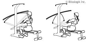 Crossbow Exercises By Weight Training Exercises Com