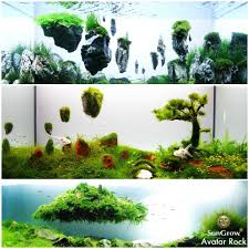 Kum Selalesi Ve Yuzen Kayalarin Icine Anubias
