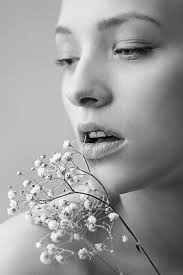 Gypsophila Wall Art for Sale