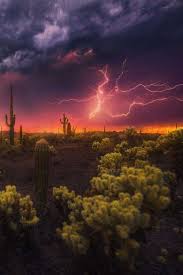 3,695 likes · 4 talking about this. 9 Bourka Ideas Bourky Blesky Boure