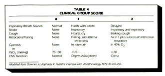 Image result for Croup Score