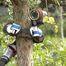 Biophysicist Explains What We Can Learn by Making Animal Robots