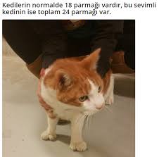 Can Dostum Publications Facebook
