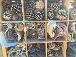 Includes home improvement projects, home repair, kitchen remodeling, plumbing, electrical, painting, real estate, and decorating. How To Build A Bug Hotel With Kids