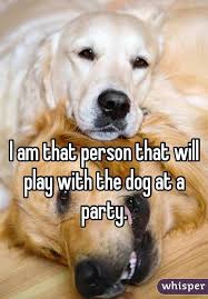 So True Let S Cuddle And Play Fetch Sorry Are There Humans Here Dog Love Dogs Dog Lovers
