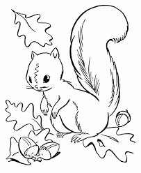 Free Printable Fall Coloring Pages For Kids Best Coloring Pages For Kids Fall Coloring Pictures Squirrel Coloring Page Fall Coloring Sheets