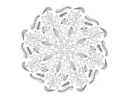 Autumn Mandala Mandalas Adult Coloring Pages Choose your desired ones and give your imagination a chance to indulge in the beauty of colors.
