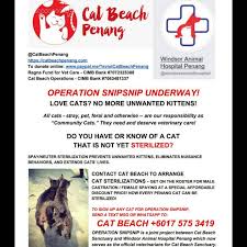 Former director of research and innovation division, department of veterinary services (dvs), putrajaya. Operation Snipsnip Cat Beach