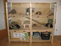 Wenn sie noch überlegen, welche grösse für ihren nager geeignet ist, so suchen sie doch einfach unter freilaufgehege gebraucht, oft erhalten sie dort. Meerschweinchen In Not Wohnidee