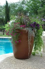 Mike Will Only Let Me Plant In Pots Mediterranean Landscaping Mediterranean Landscape Design Plants