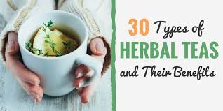 30 types of herbal teas and their amazing health benefits