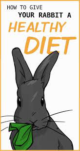 Rabbit Diet 101 Rabbit Diet Rabbit Pellets Rabbit Facts