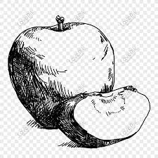 Gambar buah buahan hitam putih untuk mewarnai strasshotfix net gambar apel hitam dan putih menanam buah makanan menghasilkan epal wikipedia bahasa melayu ensiklopedia bebas. Lukisan Garis Tangan Epal Yang Ditarik Tangan Epal Gambar Unduh Gratis Imej 611748349 Format Psd My Lovepik Com