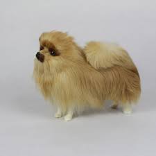 Bark busters home dog training provides personalized dog obedience and behavior training. Pomeranian Figurines Pasteurinstituteindia Com