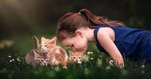 Foto Devochka Celuet Ryzhih Kotyat Sidya V Trave By Suzy Mead Dog Photo Contest Animals Cute Animals