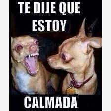 Imagenes Para Perfil De Whatsapp Para Hombres Gratis Perfiles Whatsapp Foto Para Mostrar En Chistes Graciosos Para Whatsapp Memes Perros Imagenes Para Perfil