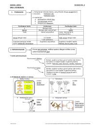 Bab 4 Pembiakan Sains Tingkatan 3 Pdf