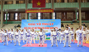 Thái Bình: Sôi nổi phong trào tập luyện võ thuật