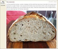 Epingle Sur Levain Naturel