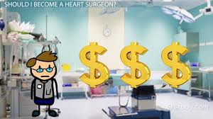 What do cardiothoracic surgeons do? How To Become A Heart Surgeon