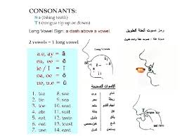 Occur initially or in an initial cluster preceding a syllabic sound. English In Ten Weeks Contents Five Long Vowels