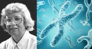 A propósito de mujeres en la ciencia, Una genetista, dos cromosomas X,  algunos ratones, y un gato particular.