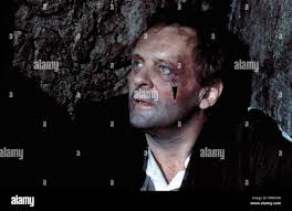 Jack gold hi-res stock photography and images