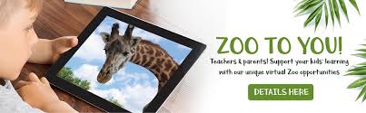 Just one of many comps for a metro toronto zoo rebrand. Toronto Zoo Home