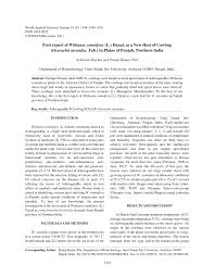 Image result for Oxyrhachis