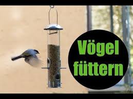 Vor Allem Im Winter Freuen Sich Vogel Uber Futter Eine Vogelfutterstation Reicht Und Schon Kommen Meisen Amseln Und Co Vogelfutterstation Vogelfutter Meisen