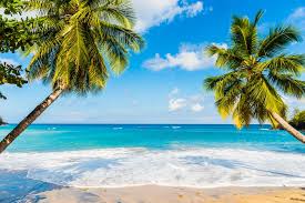 Travelguru cathy bartrop takes us on a tour of the french caribbean island of martinique. Martinique Paradies Der Karibik Reisemagazin Online
