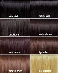 These shades create sexy looks perfect for any occasion. Beautiful Dark Brown Hair Color Chart Hair Color Chart Hair Color Chart Brown Hair Color Chart Hair Color For Black Hair