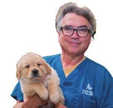 Beverly Medlin's Instagram, Twitter & Facebook